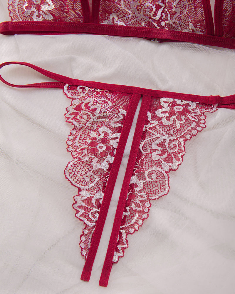 Lingerie Fine et Transparente en Dentelle