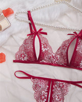 Lingerie Fine et Transparente en Dentelle