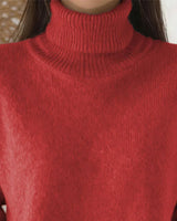 Pull Col Roulé Style Décontracté